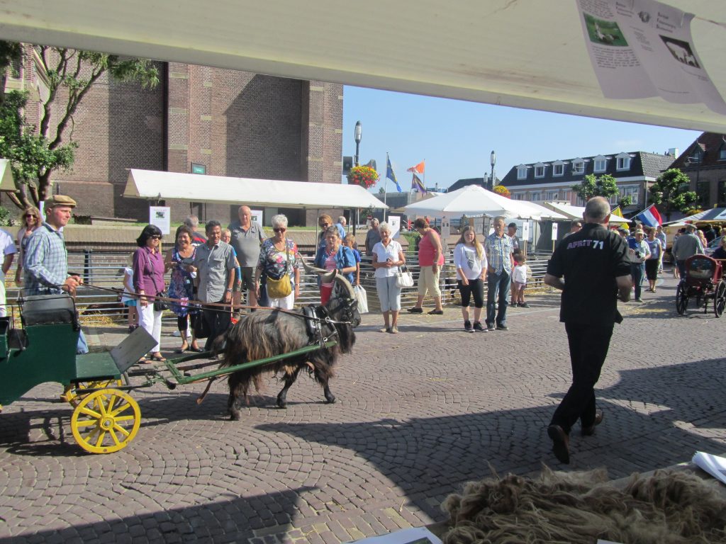 image West Friese folkore dag 2013