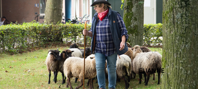 Meld u aan voor de ledenactiviteit op zaterdag 24 mei