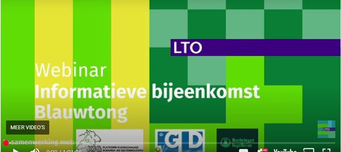 Oproep: vaccineer tegen blauwtong