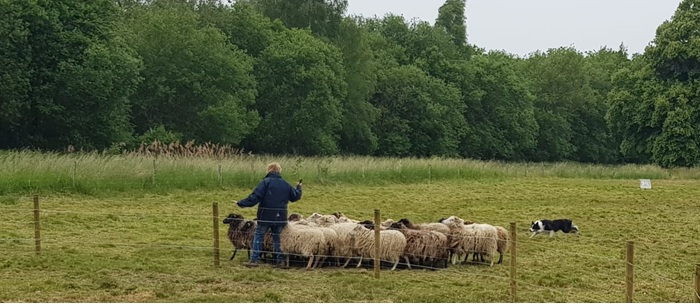 Verslag van de ledenactiviteit