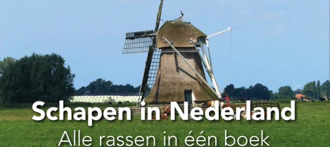 Skudde in ‘Schapen in Nederland’